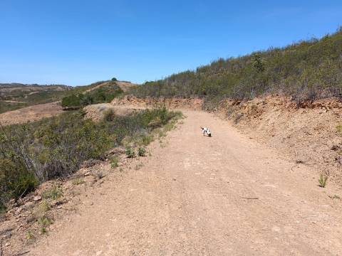 TERRENO COM 10.160 M2 - PRÓXIMO A CORTE DO GAGO - CASTRO MARIM - ALGARVE