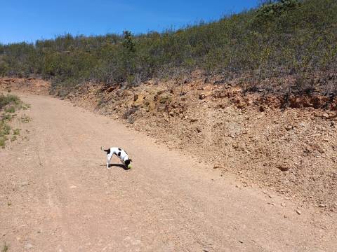 TERRENO COM 10.160 M2 - PRÓXIMO A CORTE DO GAGO - CASTRO MARIM - ALGARVE