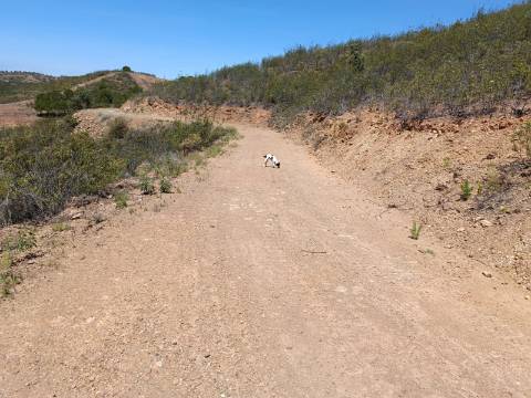 TERRENO COM 10.160 M2 - PRÓXIMO A CORTE DO GAGO - CASTRO MARIM - ALGARVE