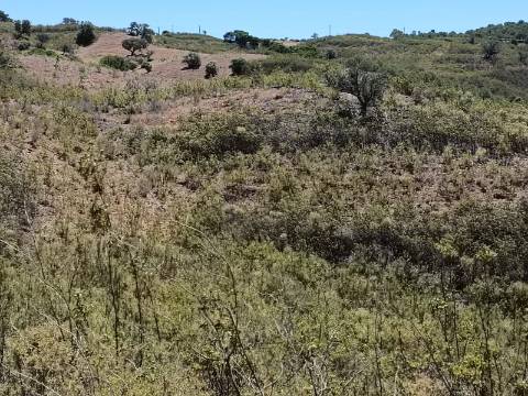 TERRENO COM 10.160 M2 - PRÓXIMO A CORTE DO GAGO - CASTRO MARIM - ALGARVE