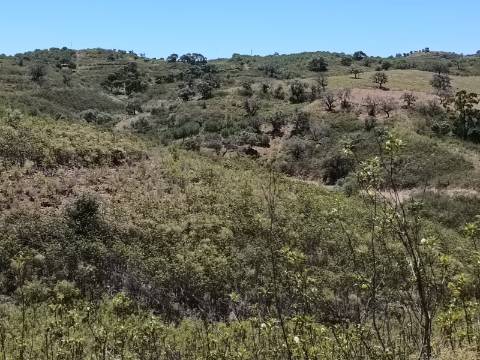 TERRENO COM 10.160 M2 - PRÓXIMO A CORTE DO GAGO - CASTRO MARIM - ALGARVE