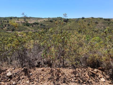 TERRENO COM 10.160 M2 - PRÓXIMO A CORTE DO GAGO - CASTRO MARIM - ALGARVE