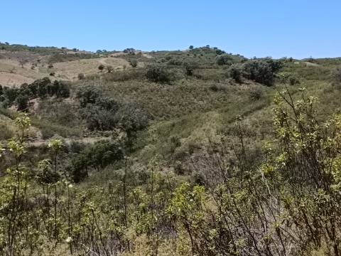 TERRENO COM 10.160 M2 - PRÓXIMO A CORTE DO GAGO - CASTRO MARIM - ALGARVE