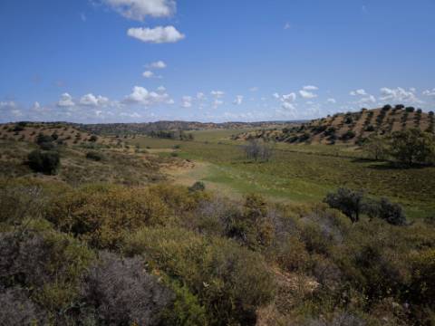 TERRENO COM 60880 M2 - COM POSSIBILIDADE DE CONSTRUÇÃO - TURISMO E MORADIA - JUNQUEIRA - CASTRO MARIM - ALGARVE