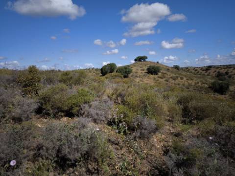 TERRENO COM 60880 M2 - COM POSSIBILIDADE DE CONSTRUÇÃO - TURISMO E MORADIA - JUNQUEIRA - CASTRO MARIM - ALGARVE