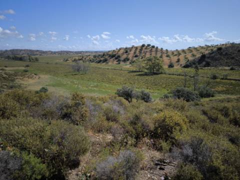 TERRENO COM 60880 M2 - COM POSSIBILIDADE DE CONSTRUÇÃO - TURISMO E MORADIA - JUNQUEIRA - CASTRO MARIM - ALGARVE
