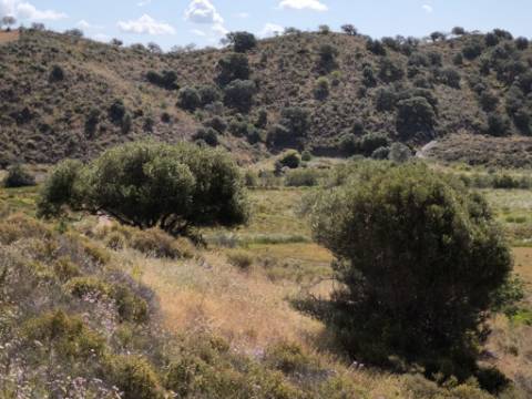 TERRENO COM 60880 M2 - COM POSSIBILIDADE DE CONSTRUÇÃO - TURISMO E MORADIA - JUNQUEIRA - CASTRO MARIM - ALGARVE