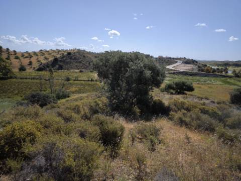 TERRENO COM 60880 M2 - COM POSSIBILIDADE DE CONSTRUÇÃO - TURISMO E MORADIA - JUNQUEIRA - CASTRO MARIM - ALGARVE