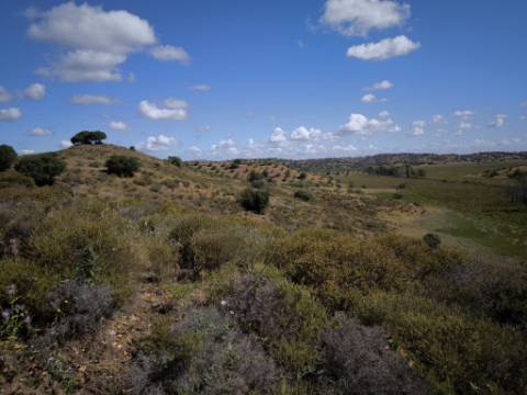 TERRENO COM 60880 M2 - COM POSSIBILIDADE DE CONSTRUÇÃO - TURISMO E MORADIA - JUNQUEIRA - CASTRO MARIM - ALGARVE