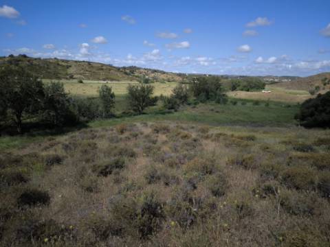 TERRENO COM 60880 M2 - COM POSSIBILIDADE DE CONSTRUÇÃO - TURISMO E MORADIA - JUNQUEIRA - CASTRO MARIM - ALGARVE
