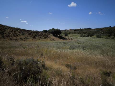 TERRENO COM 60880 M2 - COM POSSIBILIDADE DE CONSTRUÇÃO - TURISMO E MORADIA - JUNQUEIRA - CASTRO MARIM - ALGARVE