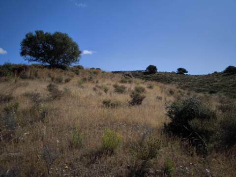 TERRENO COM 60880 M2 - COM POSSIBILIDADE DE CONSTRUÇÃO - TURISMO E MORADIA - JUNQUEIRA - CASTRO MARIM - ALGARVE