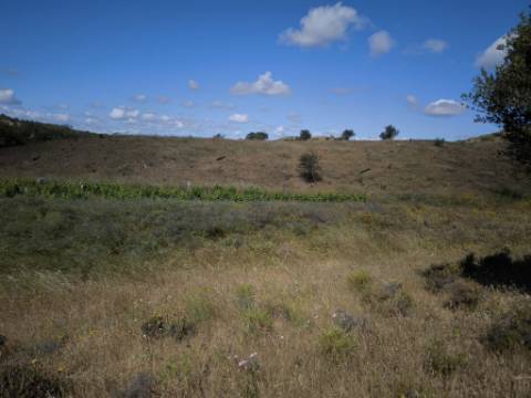 TERRENO COM 60880 M2 - COM POSSIBILIDADE DE CONSTRUÇÃO - TURISMO E MORADIA - JUNQUEIRA - CASTRO MARIM - ALGARVE
