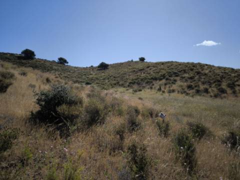 TERRENO COM 60880 M2 - COM POSSIBILIDADE DE CONSTRUÇÃO - TURISMO E MORADIA - JUNQUEIRA - CASTRO MARIM - ALGARVE