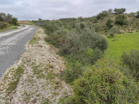 Terreno Rústico com 16.320 m² com árvores - Beliche - Castro Marim - Algarve