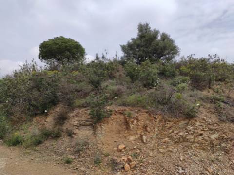 Terreno Rústico com 16.320 m² com árvores - Beliche - Castro Marim - Algarve