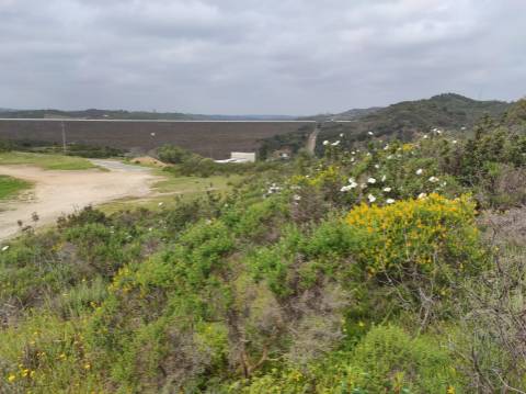 Terreno Rústico com 16.320 m² com árvores - Beliche - Castro Marim - Algarve