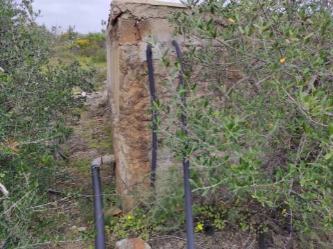 Terreno Rústico com 16.320 m² com árvores - Beliche - Castro Marim - Algarve