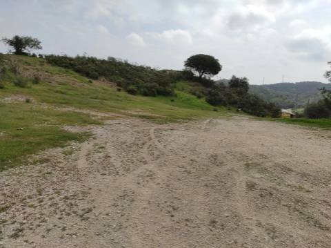 Terreno Rústico com 16.320 m² com árvores - Beliche - Castro Marim - Algarve