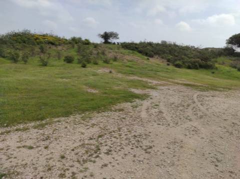 Terreno Rústico com 16.320 m² com árvores - Beliche - Castro Marim - Algarve