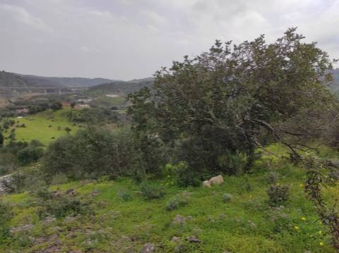 Terreno Rústico com 16.320 m² com árvores - Beliche - Castro Marim - Algarve