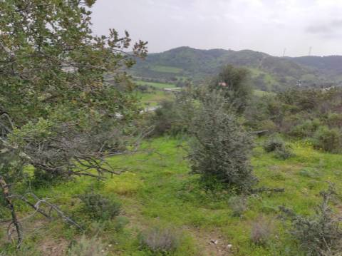 Terreno Rústico com 16.320 m² com árvores - Beliche - Castro Marim - Algarve