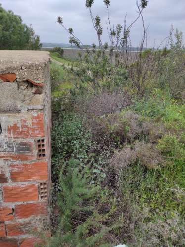 Terreno Rústico com 16.320 m² com árvores - Beliche - Castro Marim - Algarve