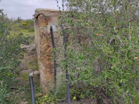 Terreno Rústico com 16.320 m² com árvores - Beliche - Castro Marim - Algarve