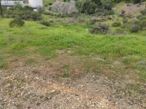 Terreno Rústico com 16.320 m² com árvores - Beliche - Castro Marim - Algarve