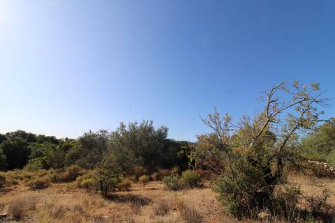 Terreno Rústico com 6840 m2