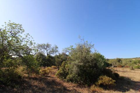 Terreno Rústico com 6840 m2