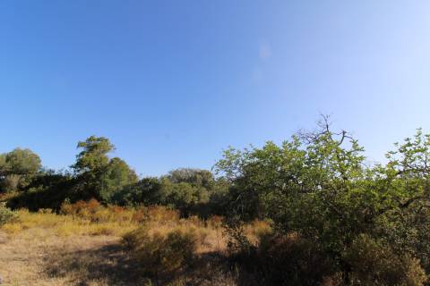 Terreno Rústico com 6840 m2