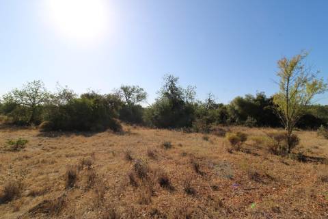 Terreno Rústico com 6840 m2
