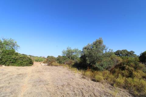 Terreno Rústico com 6840 m2