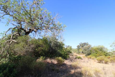 Terreno Rústico com 6840 m2