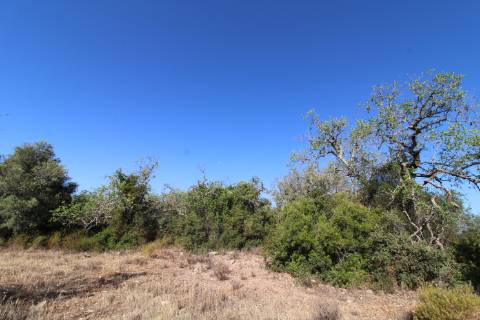 Terreno Rústico com 6840 m2