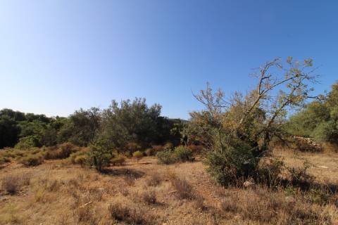 Terreno Rústico com 6840 m2