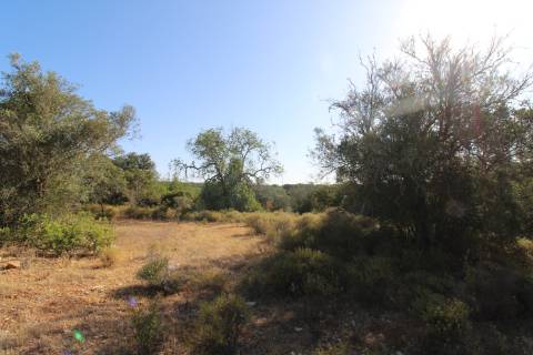 Terreno Rústico com 6840 m2