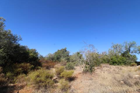 Terreno Rústico com 6840 m2