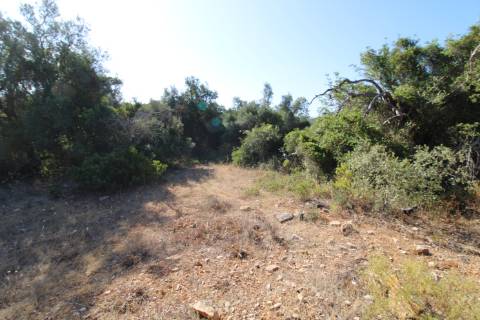 Terreno Rústico com 6840 m2