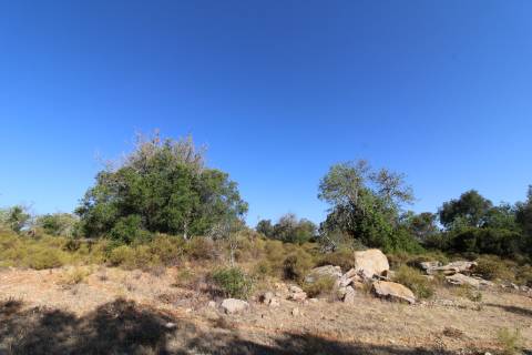 Terreno Rústico com 6840 m2