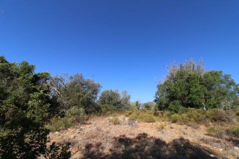 Terreno Rústico com 6840 m2