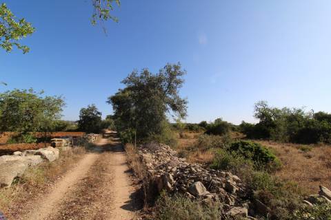 Terreno Rústico com 6840 m2