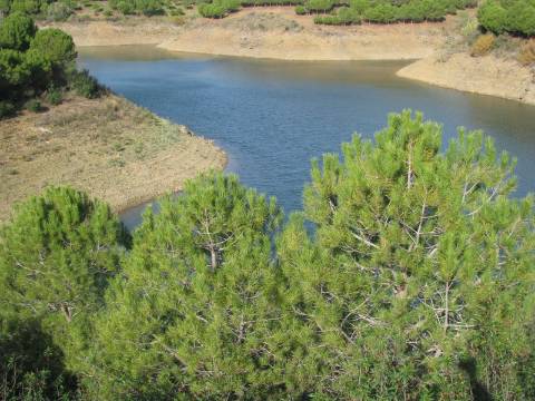 TERRENO RÚSTICO COM 10.480 M2 JUNTO A BARRAGEM DO BELICHE - ALCARIAS - AZINHAL - ALGARVE
