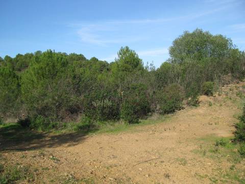 TERRENO RÚSTICO COM 10.480 M2 JUNTO A BARRAGEM DO BELICHE - ALCARIAS - AZINHAL - ALGARVE