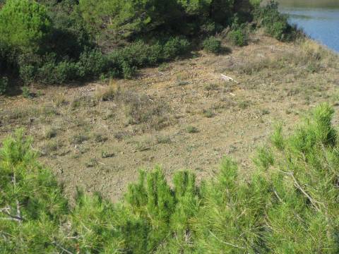 TERRENO RÚSTICO COM 10.480 M2 JUNTO A BARRAGEM DO BELICHE - ALCARIAS - AZINHAL - ALGARVE