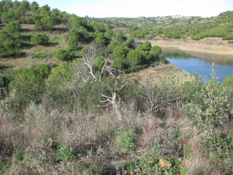 TERRENO RÚSTICO COM 10.480 M2 JUNTO A BARRAGEM DO BELICHE - ALCARIAS - AZINHAL - ALGARVE