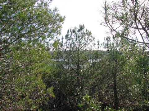 TERRENO RÚSTICO COM 10.480 M2 JUNTO A BARRAGEM DO BELICHE - ALCARIAS - AZINHAL - ALGARVE