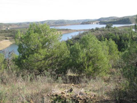 TERRENO RÚSTICO COM 10.480 M2 JUNTO A BARRAGEM DO BELICHE - ALCARIAS - AZINHAL - ALGARVE