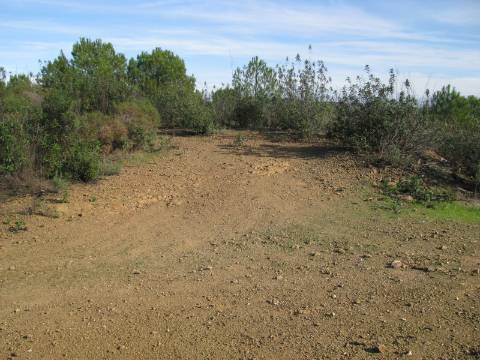 TERRENO RÚSTICO COM 10.480 M2 JUNTO A BARRAGEM DO BELICHE - ALCARIAS - AZINHAL - ALGARVE